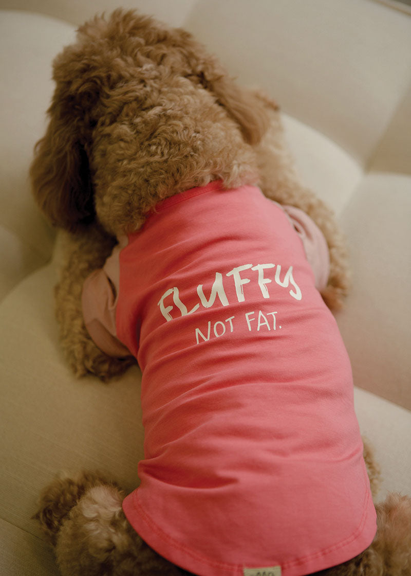 fluffy-not-fat-pink-3-1.jpg