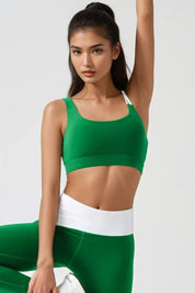 Kate Sports Bra PREORDER