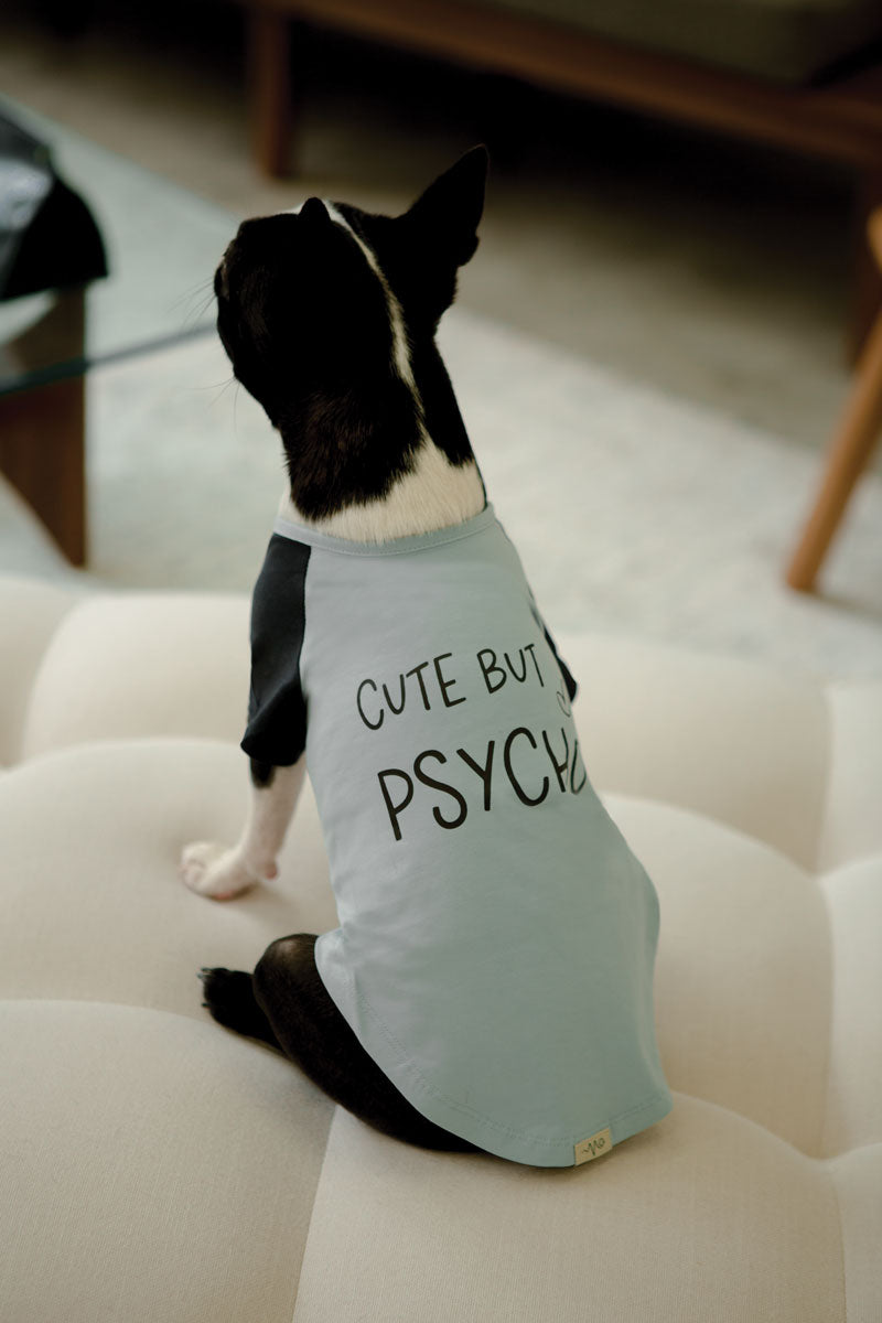 Cute but psycho dog sweater hotsell