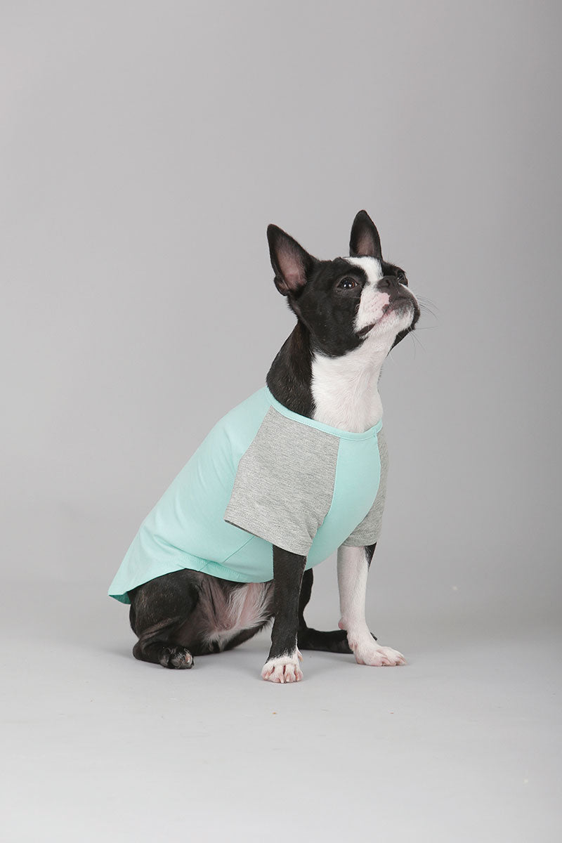Paw-er Active Tee (Inhale Exhale - Mint)